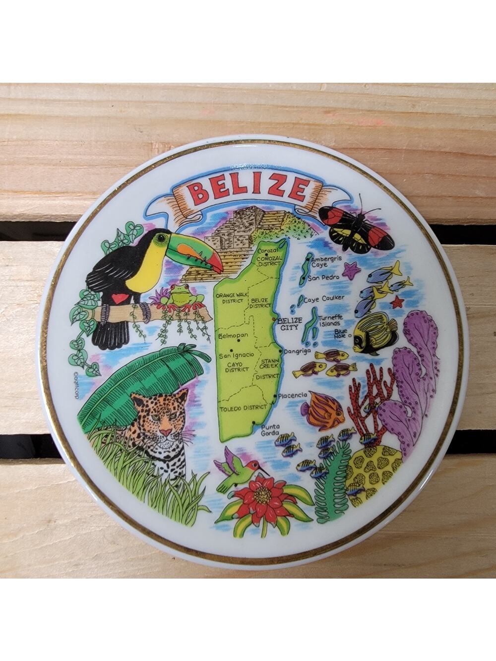American Gift Collector Series Belize Collectors Plate 4.25"